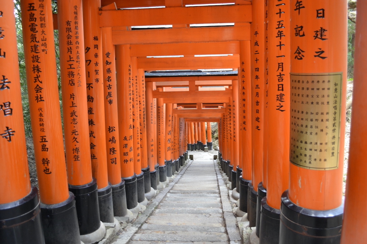 Looking through the red torri gates at Fushimi Inari