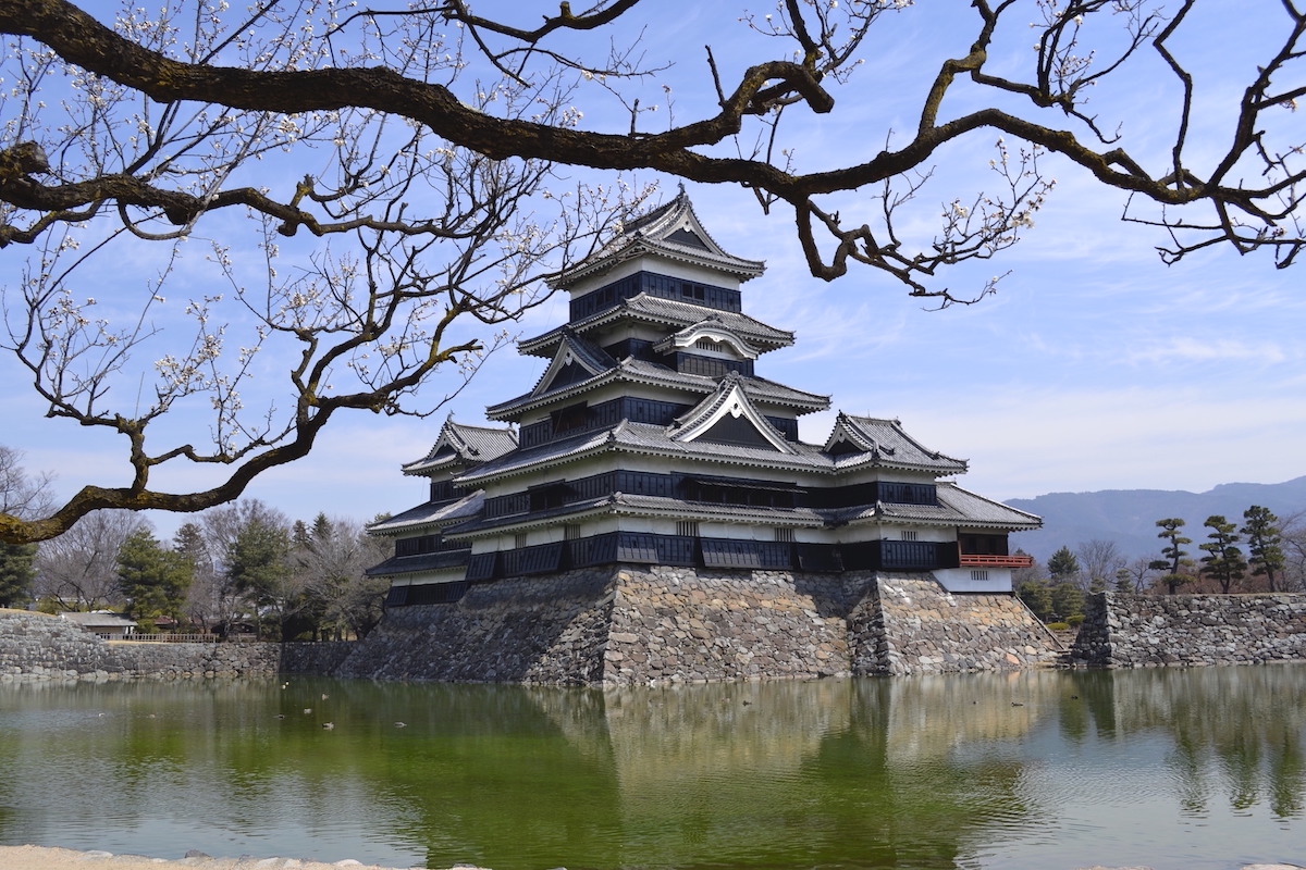 The black castle surrounded by a moat, framed under a branch of cherry tree